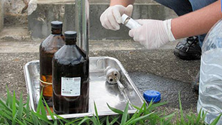 gerenciamento de áreas contaminadas